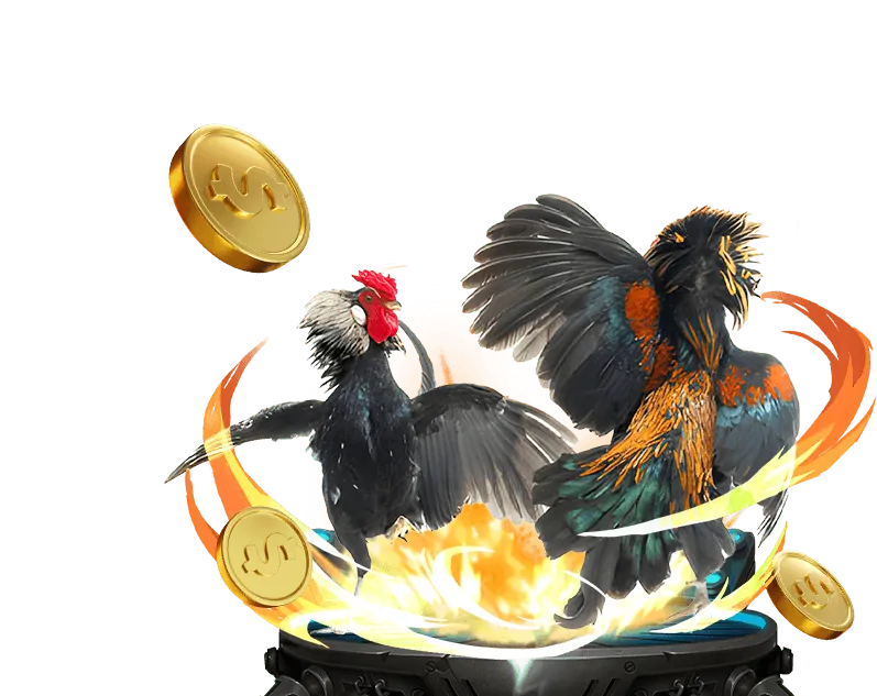 Chương trình hoàn trả Casino 5MB